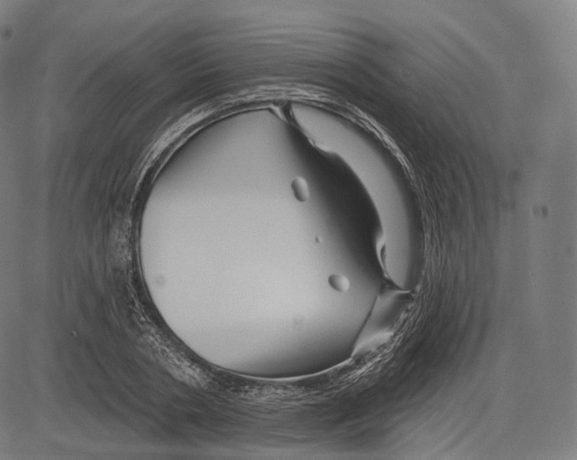 X0000083610786200703121601