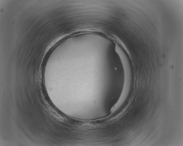 X0000083610787200703121601