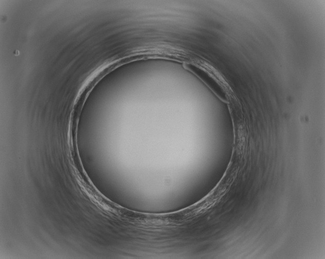 X0000083610788200703121601