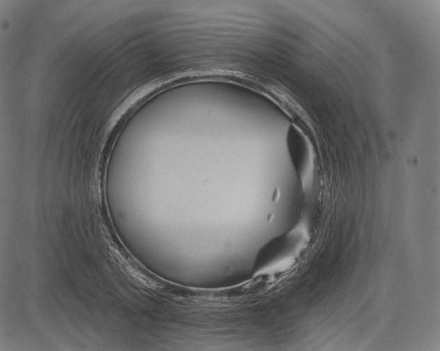 X0000083610789200703121601