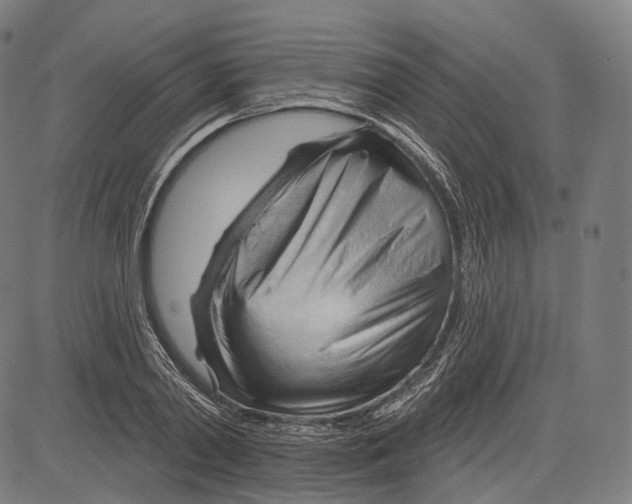 X0000083610790200703121601