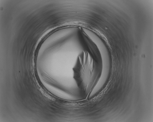 X0000083610792200703121601