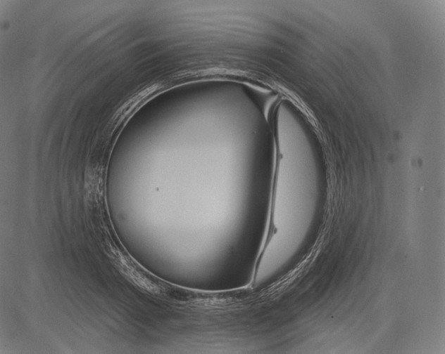 X0000083610793200703121601