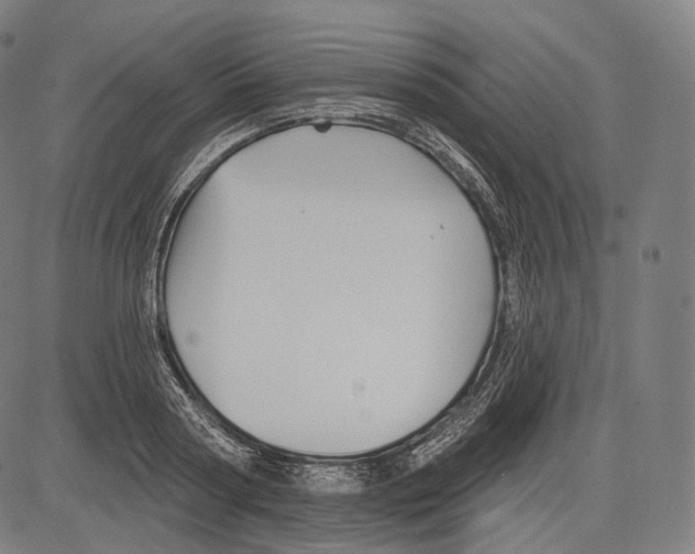 X0000083610794200703121601