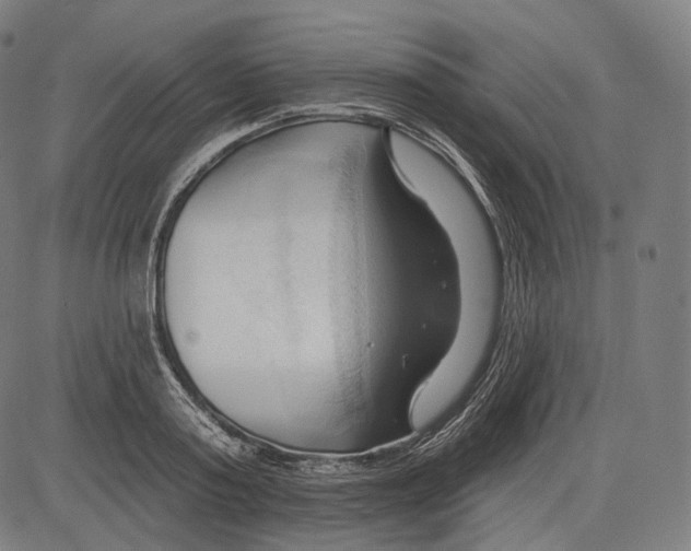 X0000083610795200703121601