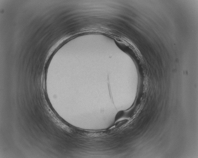 X0000083610796200703121601