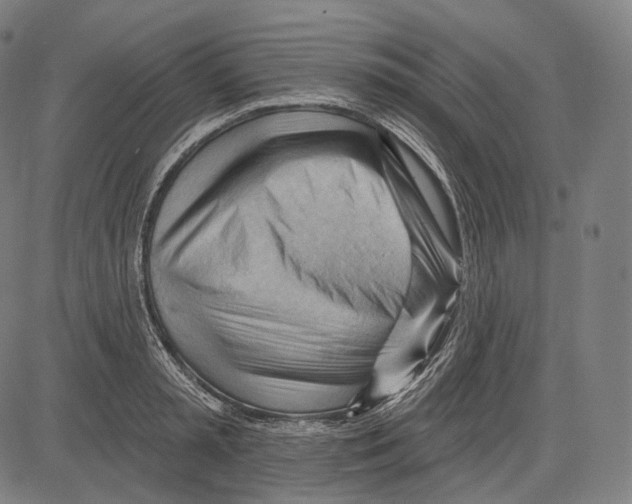 X0000083610797200703121601