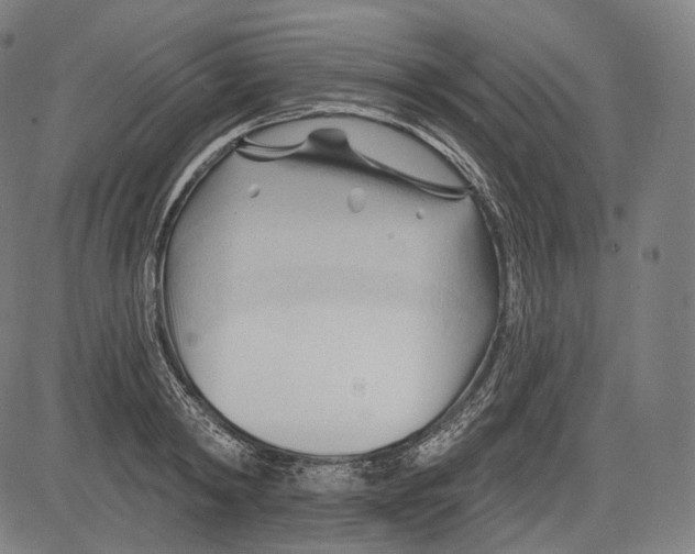 X0000083610798200703121601