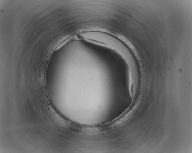 X0000083610801200703121601