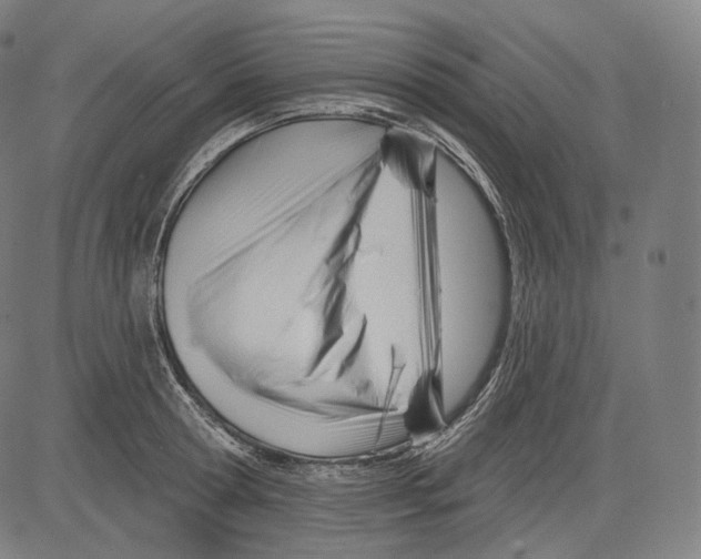 X0000083610802200703121601