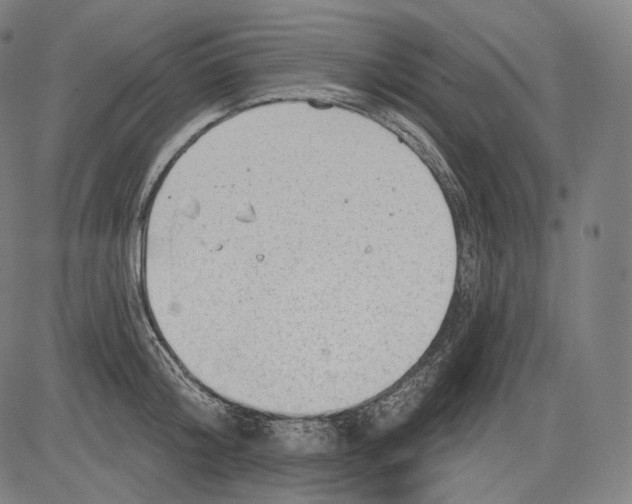 X0000083610804200703121601