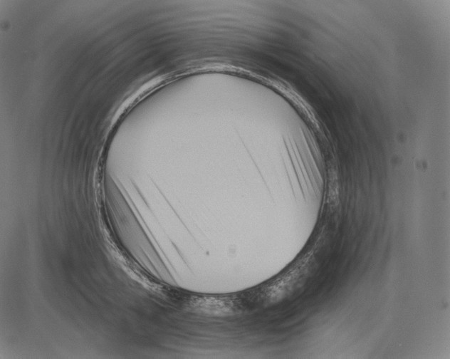 X0000083610806200703121601