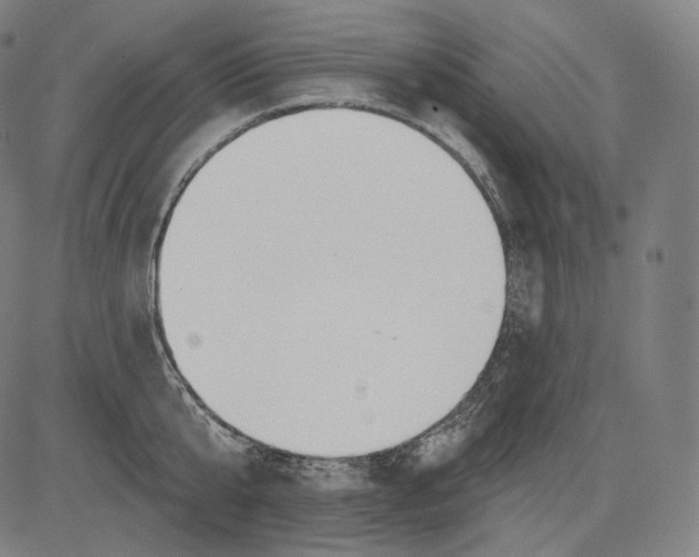 X0000083610807200703121601