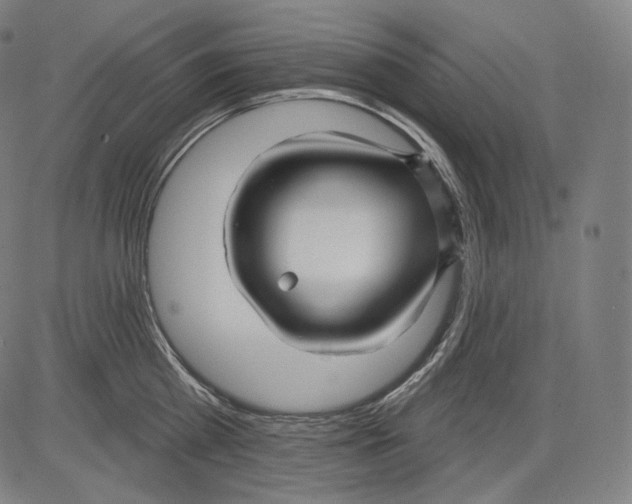 X0000083610809200703121601