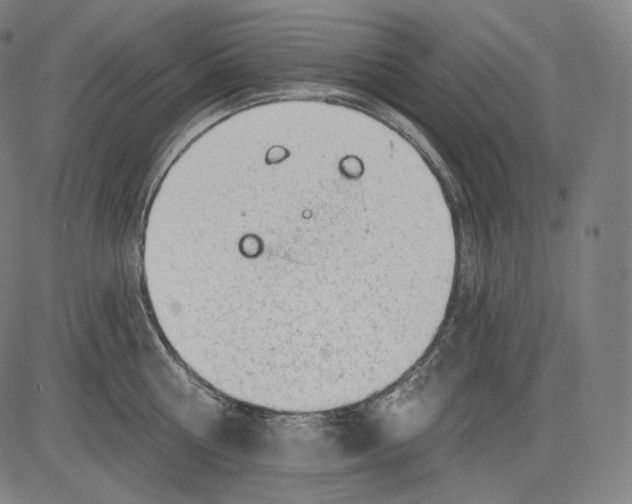 X0000083610810200703121601