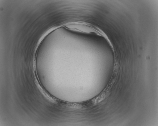 X0000083610811200703121601