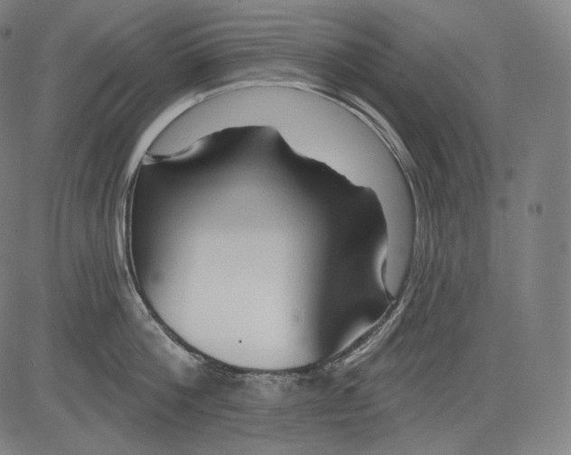 X0000083610812200703121601