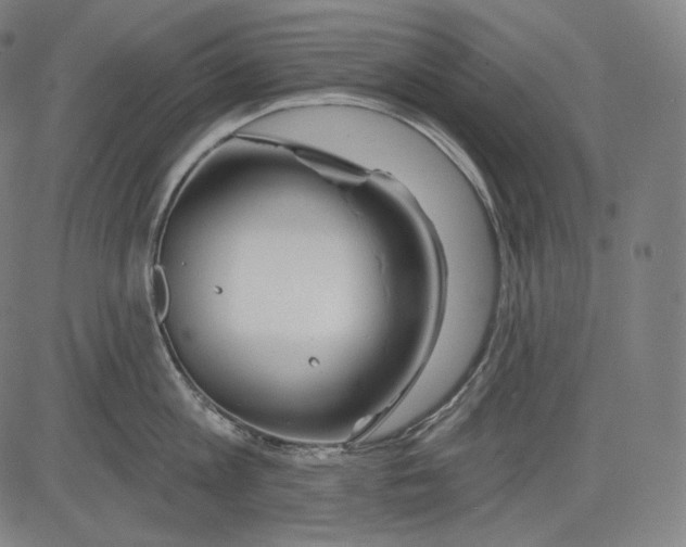 X0000083610813200703121601