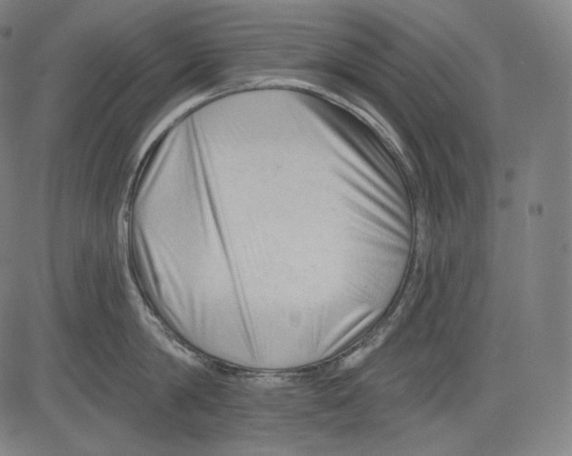 X0000083610814200703121601