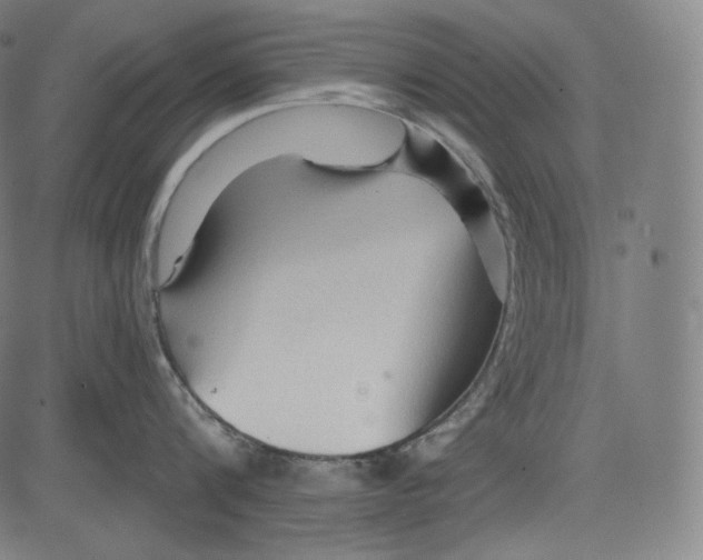 X0000083610816200703121601