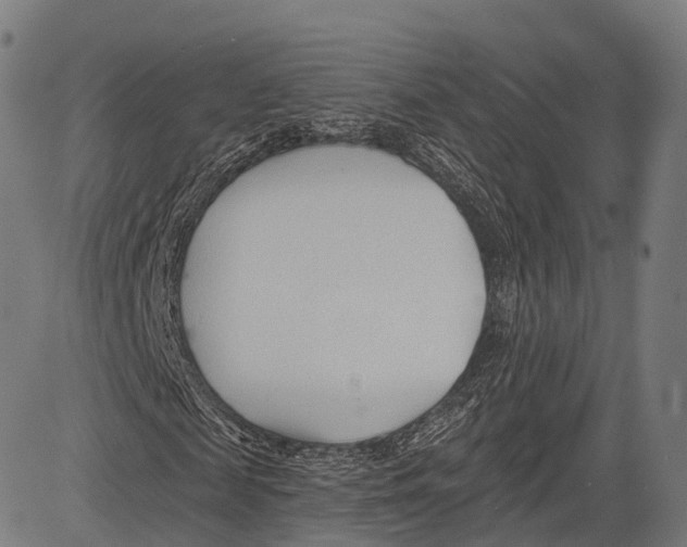 X0000083610817200703121600