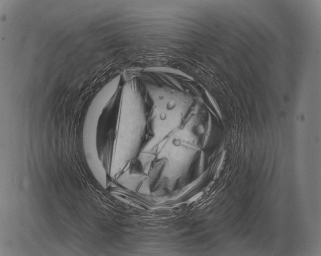 X0000083610818200703121600