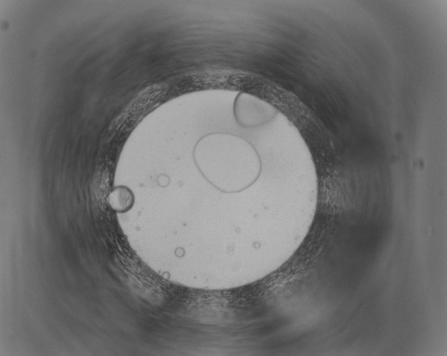 X0000083610820200703121600