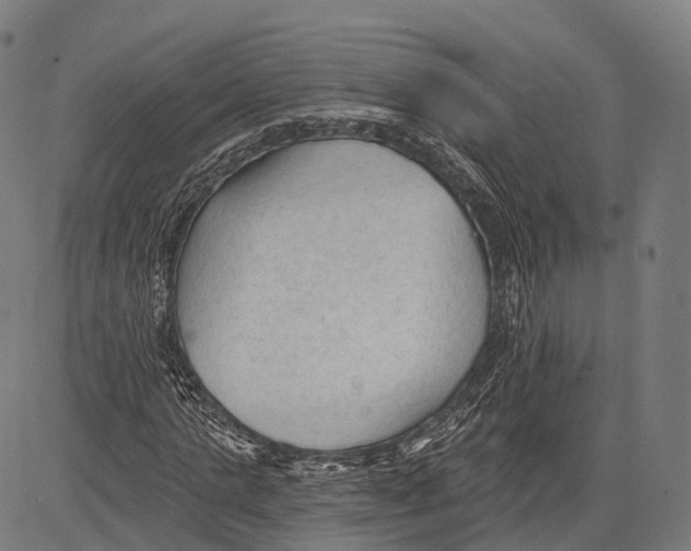 X0000083610821200703121600