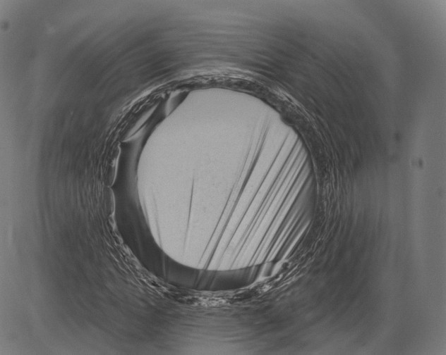 X0000083610822200703121600