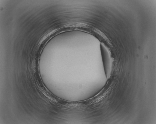 X0000083610826200703121600