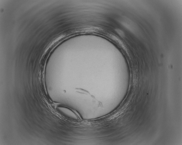 X0000083610827200703121600