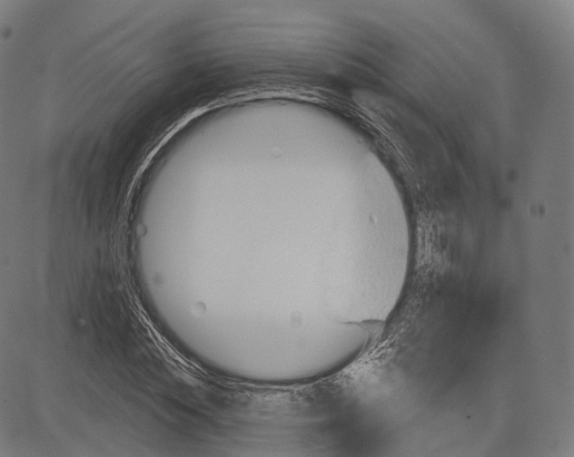 X0000083610828200703121600