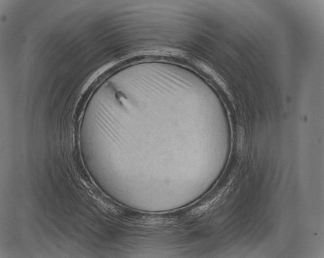 X0000083610829200703121600