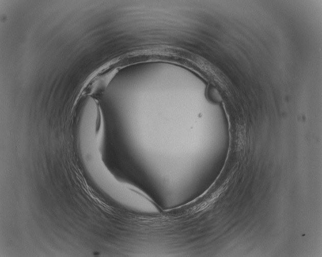 X0000083610830200703121600