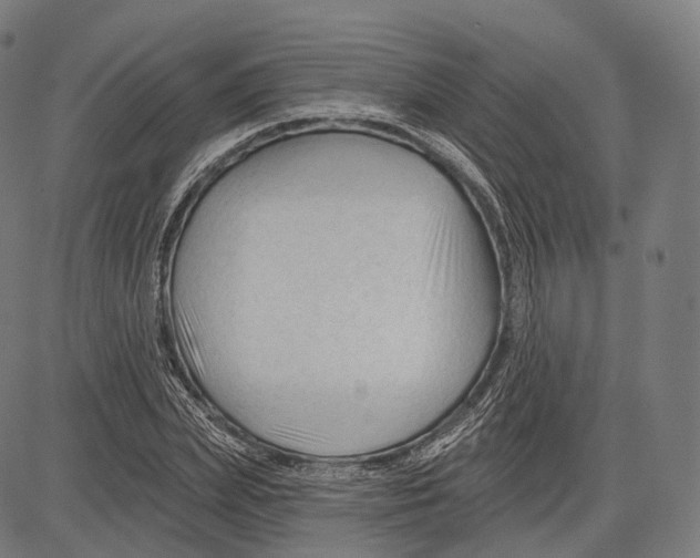 X0000083610831200703121600