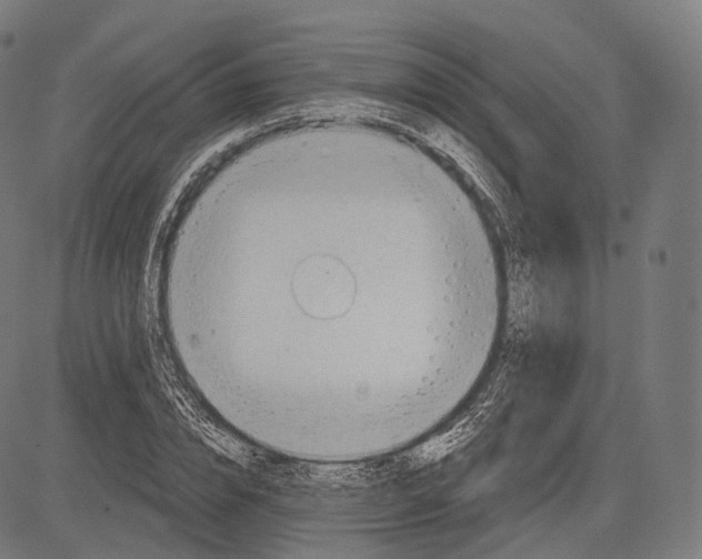 X0000083610832200703121600