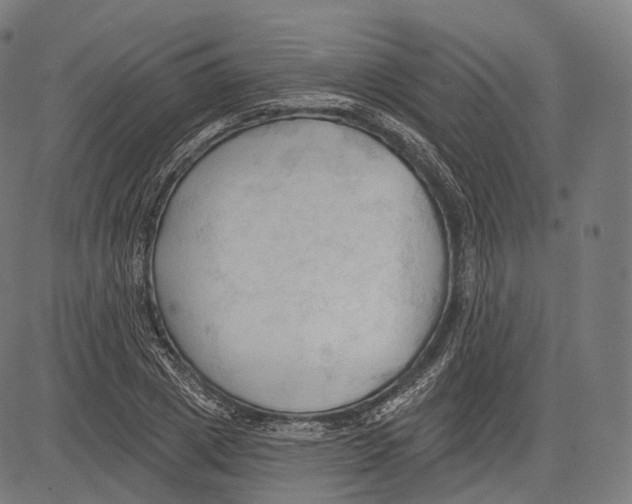 X0000083610833200703121600