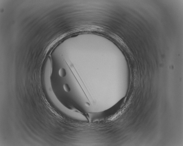 X0000083610834200703121600