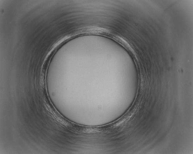 X0000083610835200703121600