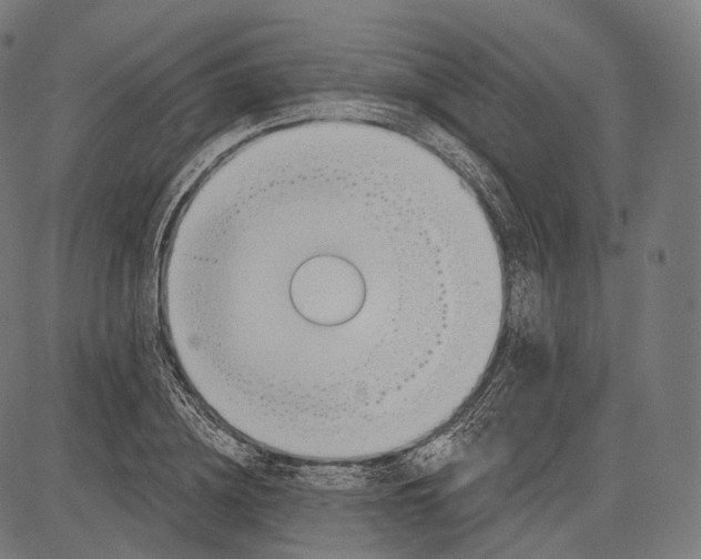 X0000083610836200703121600