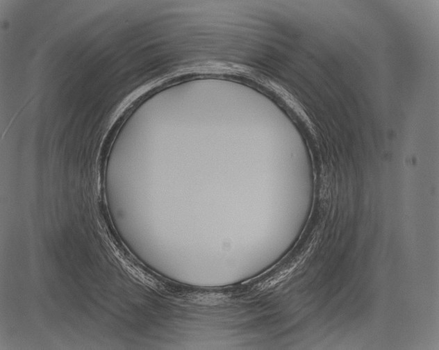 X0000083610837200703121600