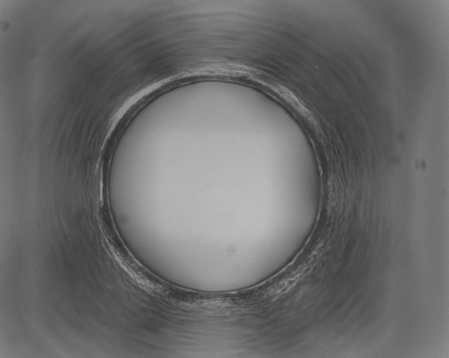 X0000083610838200703121600