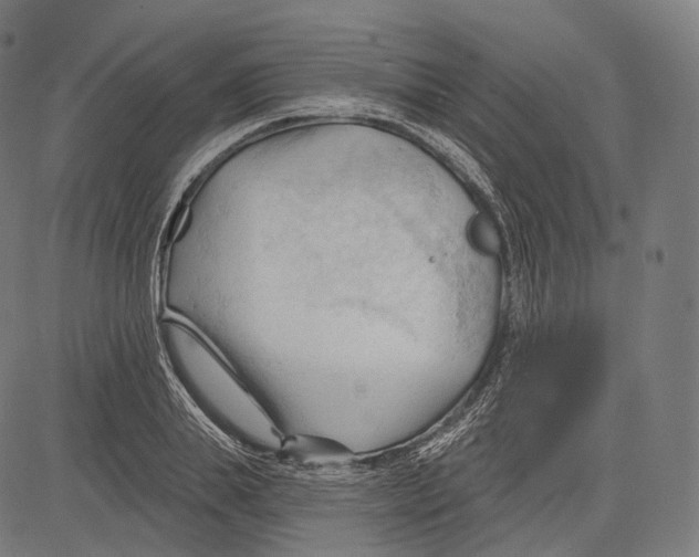 X0000083610839200703121600