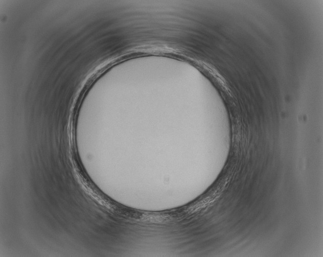 X0000083610840200703121600