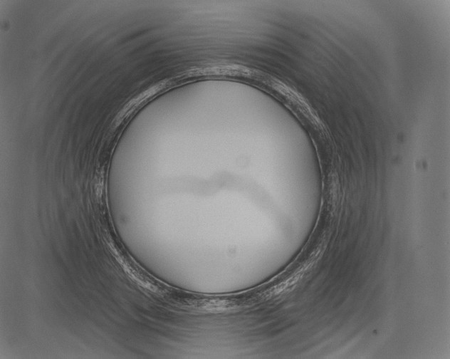 X0000083610841200703121600