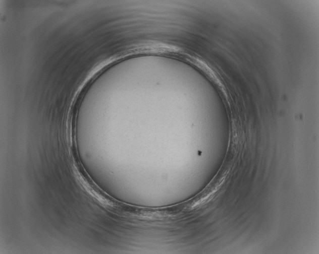 X0000083610843200703121600