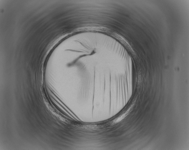 X0000083610844200703121600