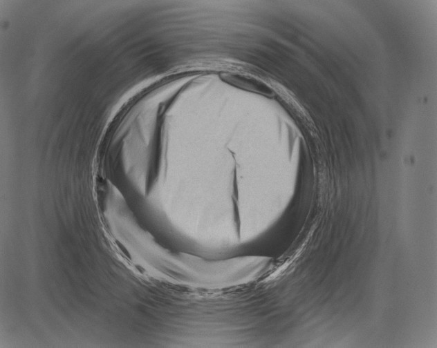 X0000083610846200703121600