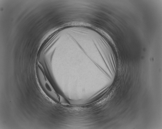 X0000083610847200703121601