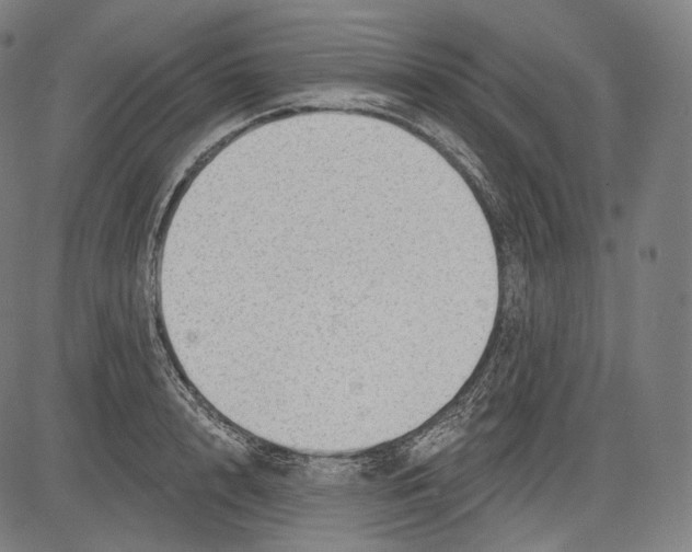 X0000083610848200703121601